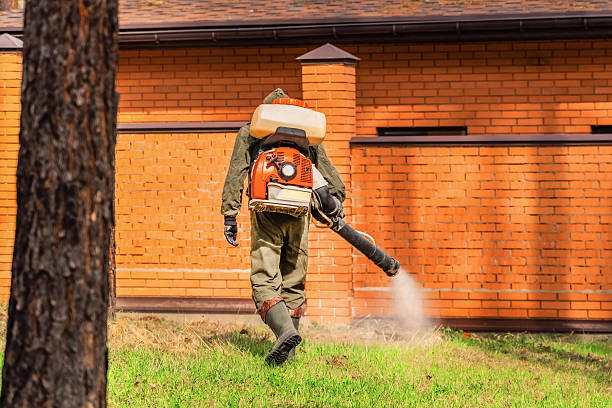Trusted Rodent Control service in South Dennis, MA - Nex Pest Control